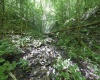 Lot 1 Four States Road, Worthington, West Virginia 26572, 0 , 0 ,0,Lots/land,For Sale,Four States,0,10165789