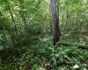 Lot 1 Four States Road, Worthington, West Virginia 26572, 0 , 0 ,0,Lots/land,For Sale,Four States,0,10165789