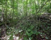 Lot 1 Four States Road, Worthington, West Virginia 26572, 0 , 0 ,0,Lots/land,For Sale,Four States,0,10165789