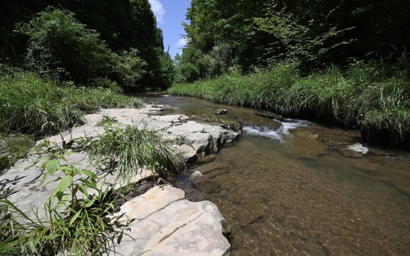 Lot 1 Four States Road, Worthington, West Virginia 26572, 0 , 0 ,0,Lots/land,For Sale,Four States,0,10165789