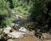 Lot 1 Four States Road, Worthington, West Virginia 26572, 0 , 0 ,0,Lots/land,For Sale,Four States,0,10165789