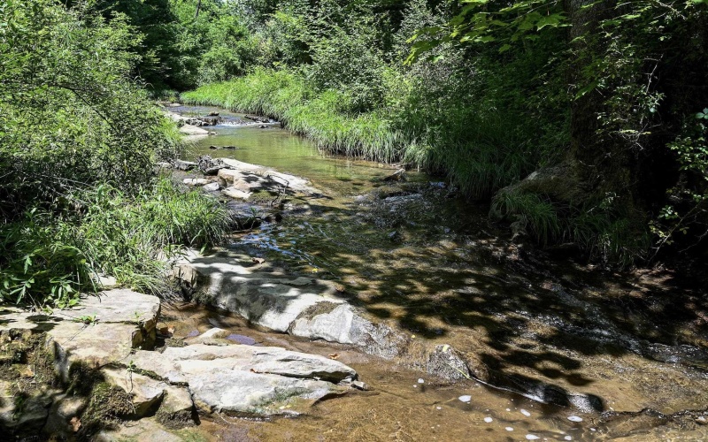 Lot 1 Four States Road, Worthington, West Virginia 26572, 0 , 0 ,0,Lots/land,For Sale,Four States,0,10165789