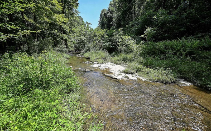 Lot 1 Four States Road, Worthington, West Virginia 26572, 0 , 0 ,0,Lots/land,For Sale,Four States,0,10165789