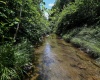 Lot 1 Four States Road, Worthington, West Virginia 26572, 0 , 0 ,0,Lots/land,For Sale,Four States,0,10165789
