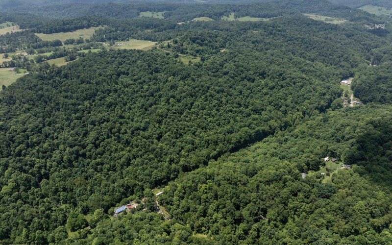 Lot 1 Four States Road, Worthington, West Virginia 26572, 0 , 0 ,0,Lots/land,For Sale,Four States,0,10165789