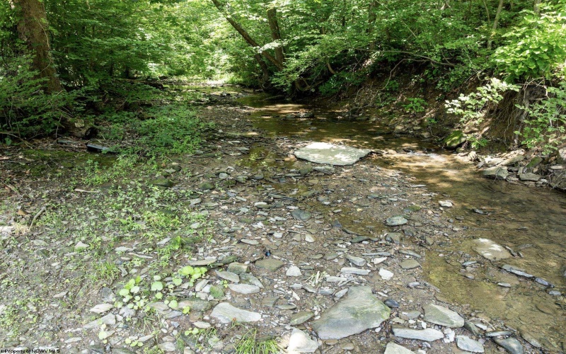 Lot 1 Four States Road, Worthington, West Virginia 26572, 0 , 0 ,0,Lots/land,For Sale,Four States,0,10165789