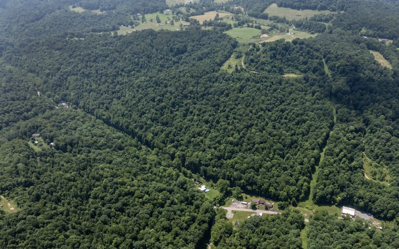 Lot 1 Four States Road, Worthington, West Virginia 26572, 0 , 0 ,0,Lots/land,For Sale,Four States,0,10165789