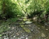 Lot 1 Four States Road, Worthington, West Virginia 26572, 0 , 0 ,0,Lots/land,For Sale,Four States,0,10165789