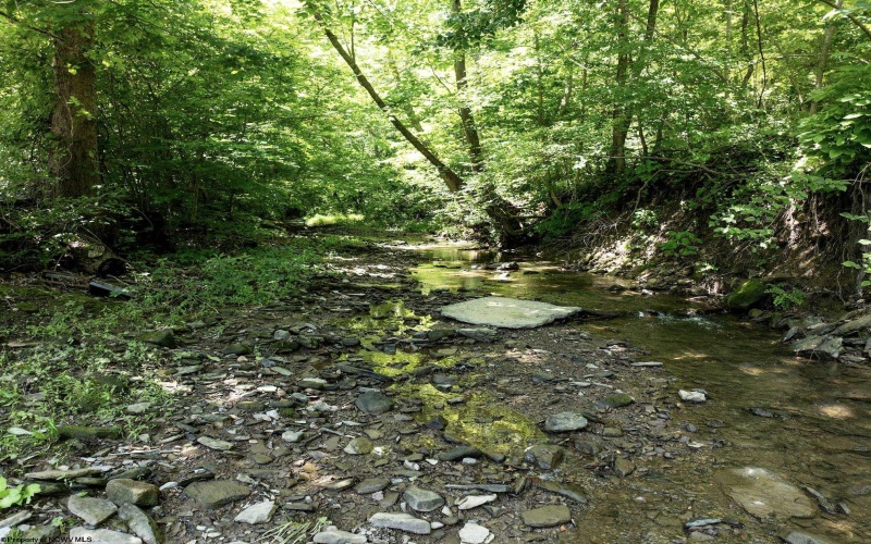 Lot 1 Four States Road, Worthington, West Virginia 26572, 0 , 0 ,0,Lots/land,For Sale,Four States,0,10165789