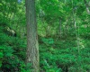 Lot 1 Four States Road, Worthington, West Virginia 26572, 0 , 0 ,0,Lots/land,For Sale,Four States,0,10165789