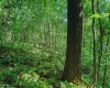 Lot 1 Four States Road, Worthington, West Virginia 26572, 0 , 0 ,0,Lots/land,For Sale,Four States,0,10165789