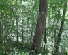 Lot 1 Four States Road, Worthington, West Virginia 26572, 0 , 0 ,0,Lots/land,For Sale,Four States,0,10165789
