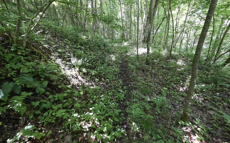 Lot 1 Four States Road, Worthington, West Virginia 26572, 0 , 0 ,0,Lots/land,For Sale,Four States,0,10165789