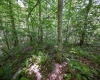 Lot 1 Four States Road, Worthington, West Virginia 26572, 0 , 0 ,0,Lots/land,For Sale,Four States,0,10165789