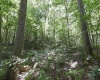 Lot 1 Four States Road, Worthington, West Virginia 26572, 0 , 0 ,0,Lots/land,For Sale,Four States,0,10165789