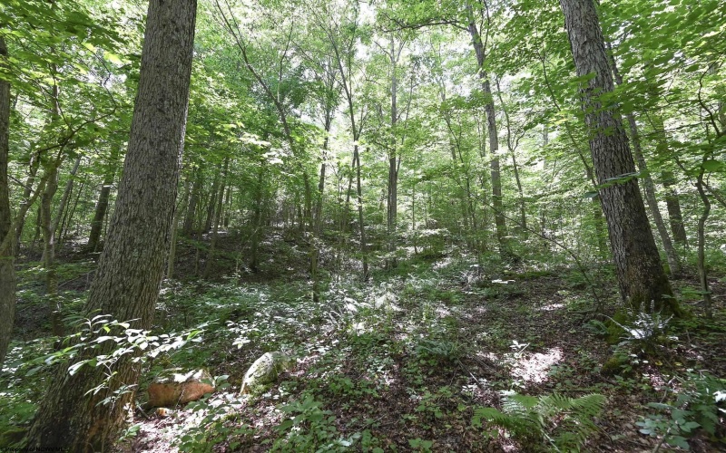 Lot 1 Four States Road, Worthington, West Virginia 26572, 0 , 0 ,0,Lots/land,For Sale,Four States,0,10165789