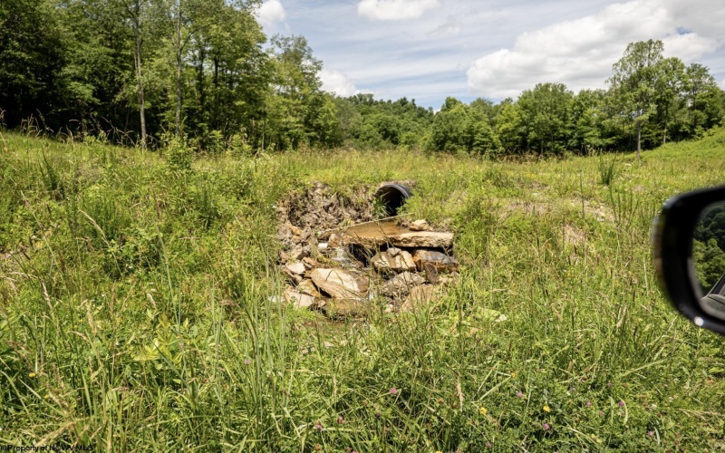 Lot 13 Lake Island Drive, Belington, West Virginia 26250, 0 , 0 ,0,Lots/land,For Sale,Lake Island,0,10165777