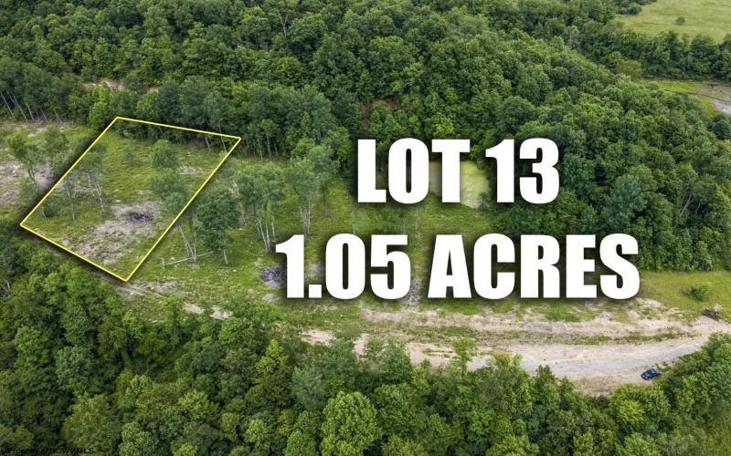Lot 13 Lake Island Drive, Belington, West Virginia 26250, 0 , 0 ,0,Lots/land,For Sale,Lake Island,0,10165777