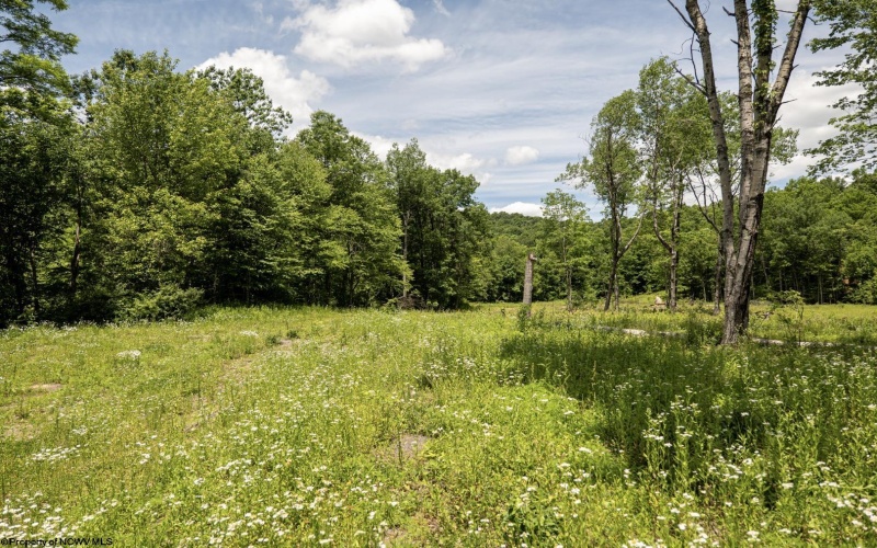 Lot 13 Lake Island Drive, Belington, West Virginia 26250, 0 , 0 ,0,Lots/land,For Sale,Lake Island,0,10165777