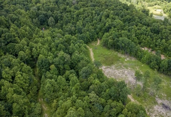 Lot 15 Lake Island Drive, Belington, West Virginia 26250, 0 , 0 ,0,Lots/land,For Sale,Lake Island,0,10165780