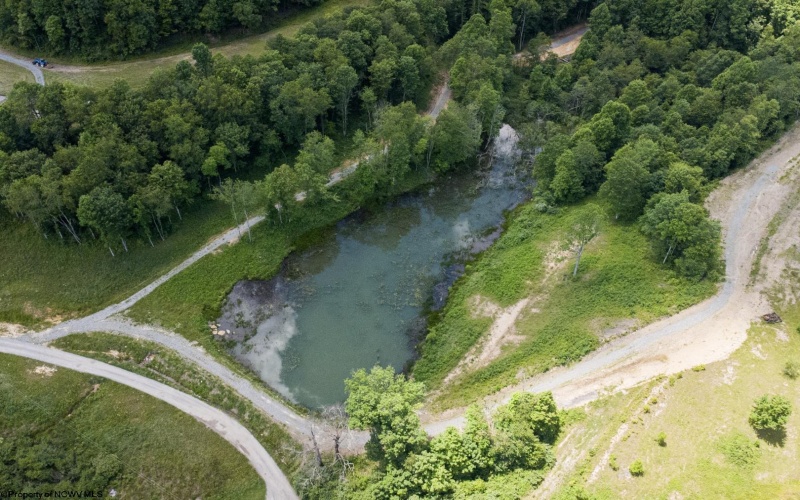 Lot 15 Lake Island Drive, Belington, West Virginia 26250, 0 , 0 ,0,Lots/land,For Sale,Lake Island,0,10165780