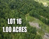 Lot 16 Lake Island Drive, Belington, West Virginia 26250, 0 , 0 ,0,Lots/land,For Sale,Lake Island,0,10165781