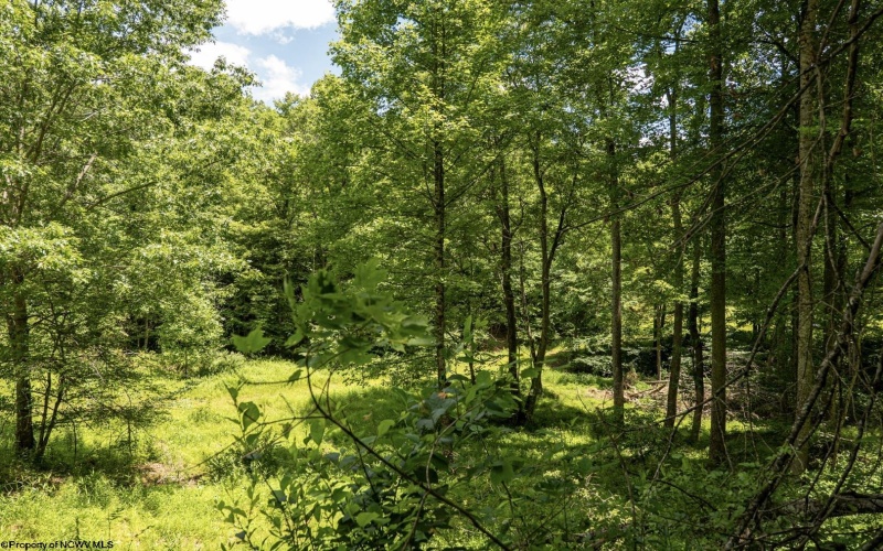 Lot 16 Lake Island Drive, Belington, West Virginia 26250, 0 , 0 ,0,Lots/land,For Sale,Lake Island,0,10165781