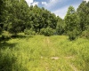 Lot 17 Lake Island Drive, Belington, West Virginia 26250, 0 , 0 ,0,Lots/land,For Sale,Lake Island,0,10165782