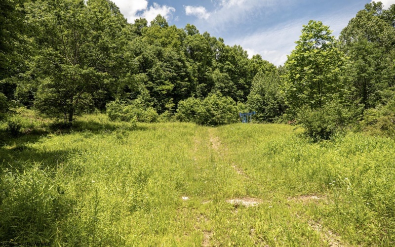 Lot 17 Lake Island Drive, Belington, West Virginia 26250, 0 , 0 ,0,Lots/land,For Sale,Lake Island,0,10165782