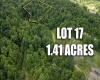 Lot 17 Lake Island Drive, Belington, West Virginia 26250, 0 , 0 ,0,Lots/land,For Sale,Lake Island,0,10165782