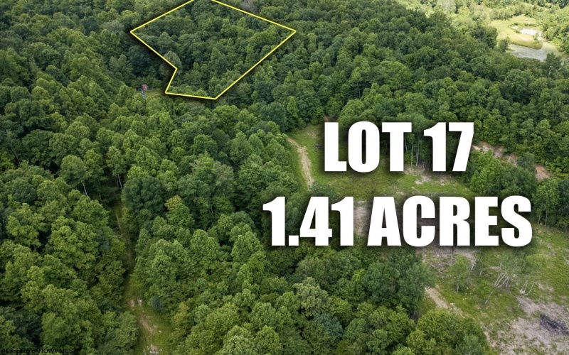 Lot 17 Lake Island Drive, Belington, West Virginia 26250, 0 , 0 ,0,Lots/land,For Sale,Lake Island,0,10165782