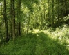 Lot 18 Lake Island Drive, Belington, West Virginia 26250, 0 , 0 ,0,Lots/land,For Sale,Lake Island,0,10165783