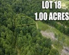 Lot 18 Lake Island Drive, Belington, West Virginia 26250, 0 , 0 ,0,Lots/land,For Sale,Lake Island,0,10165783