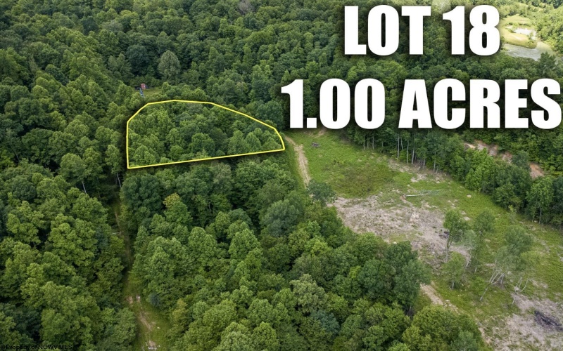 Lot 18 Lake Island Drive, Belington, West Virginia 26250, 0 , 0 ,0,Lots/land,For Sale,Lake Island,0,10165783