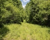 Lot 18 Lake Island Drive, Belington, West Virginia 26250, 0 , 0 ,0,Lots/land,For Sale,Lake Island,0,10165783
