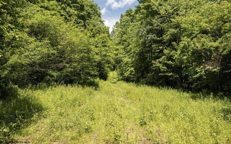 Lot 18 Lake Island Drive, Belington, West Virginia 26250, 0 , 0 ,0,Lots/land,For Sale,Lake Island,0,10165783