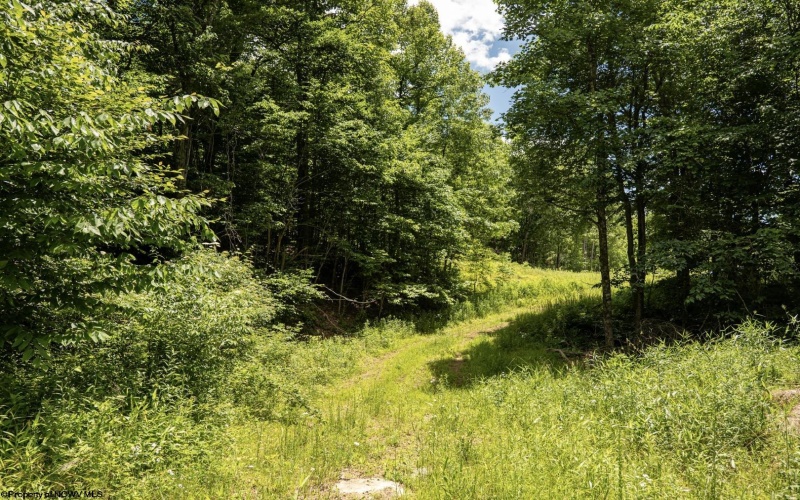 Lot 19 Lake Island Drive, Belington, West Virginia 26250, 0 , 0 ,0,Lots/land,For Sale,Lake Island,0,10165784