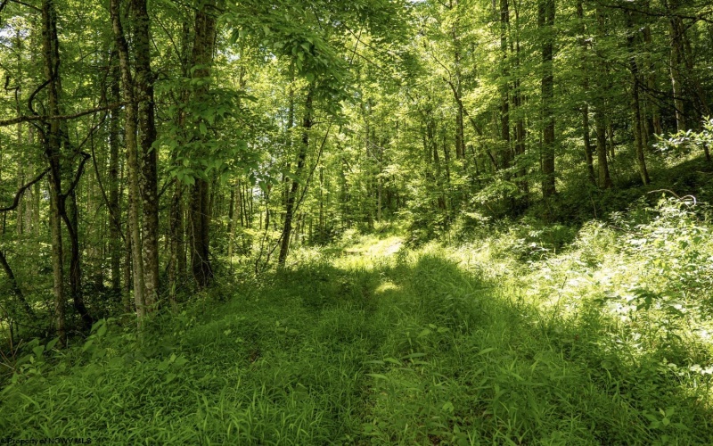 Lot 19 Lake Island Drive, Belington, West Virginia 26250, 0 , 0 ,0,Lots/land,For Sale,Lake Island,0,10165784