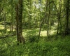 Lot 19 Lake Island Drive, Belington, West Virginia 26250, 0 , 0 ,0,Lots/land,For Sale,Lake Island,0,10165784