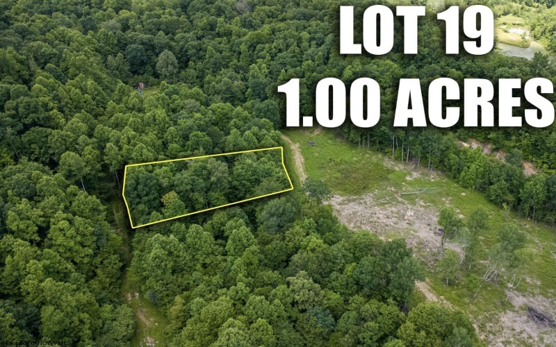 Lot 19 Lake Island Drive, Belington, West Virginia 26250, 0 , 0 ,0,Lots/land,For Sale,Lake Island,0,10165784