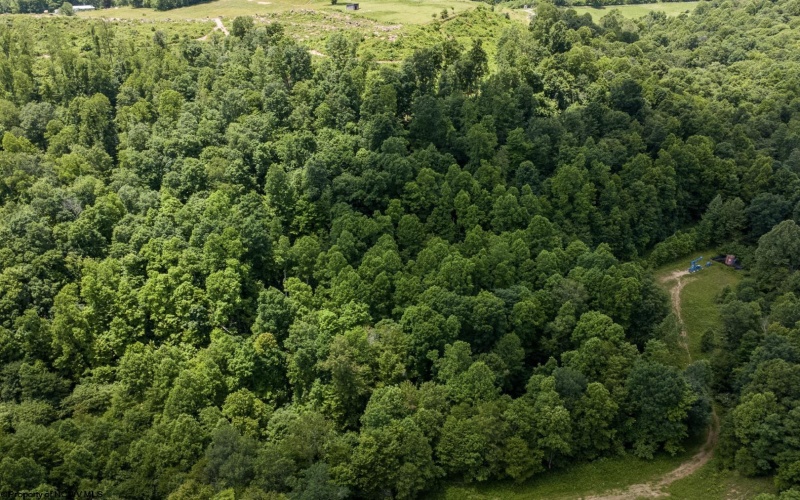 Lot 19 Lake Island Drive, Belington, West Virginia 26250, 0 , 0 ,0,Lots/land,For Sale,Lake Island,0,10165784
