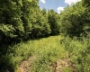 Lot 20 Lake Island Drive, Belington, West Virginia 26250, 0 , 0 ,0,Lots/land,For Sale,Lake Island,0,10165785