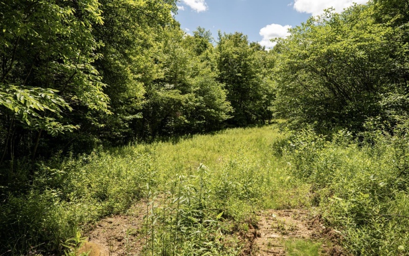 Lot 20 Lake Island Drive, Belington, West Virginia 26250, 0 , 0 ,0,Lots/land,For Sale,Lake Island,0,10165785