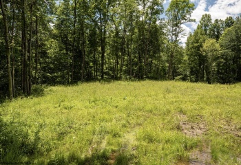 Lot 20 Lake Island Drive, Belington, West Virginia 26250, 0 , 0 ,0,Lots/land,For Sale,Lake Island,0,10165785