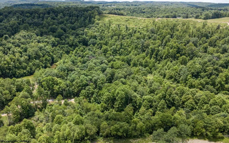 Lot 20 Lake Island Drive, Belington, West Virginia 26250, 0 , 0 ,0,Lots/land,For Sale,Lake Island,0,10165785