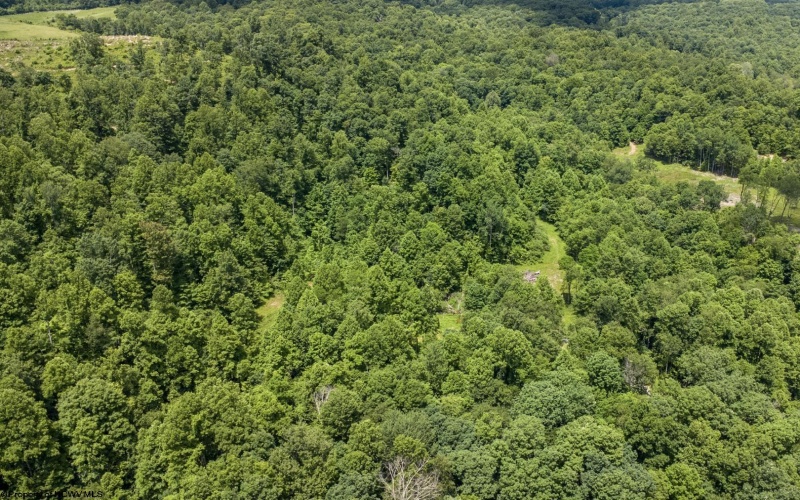 Lot 20 Lake Island Drive, Belington, West Virginia 26250, 0 , 0 ,0,Lots/land,For Sale,Lake Island,0,10165785