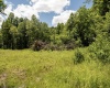 Lot 20 Lake Island Drive, Belington, West Virginia 26250, 0 , 0 ,0,Lots/land,For Sale,Lake Island,0,10165785