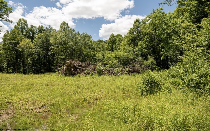 Lot 20 Lake Island Drive, Belington, West Virginia 26250, 0 , 0 ,0,Lots/land,For Sale,Lake Island,0,10165785