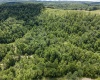 Lot 21 Lake Island Drive, Belington, West Virginia 26250, 0 , 0 ,0,Lots/land,For Sale,Lake Island,0,10165786