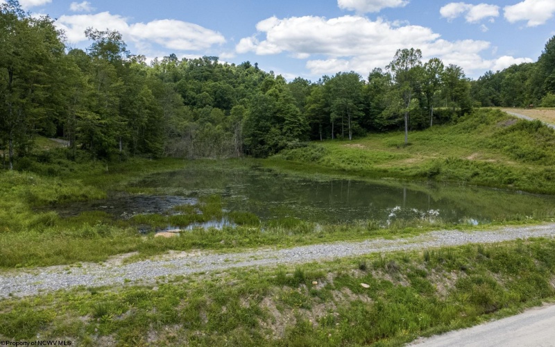 Lot 21 Lake Island Drive, Belington, West Virginia 26250, 0 , 0 ,0,Lots/land,For Sale,Lake Island,0,10165786
